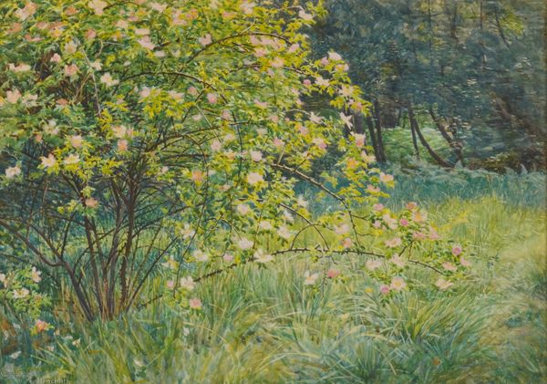 WOODBINE HINCHCLIFF (BRITISH, 1890-1916)