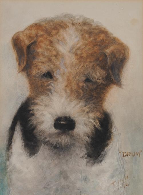 *** TUNN (20TH CENTURY)