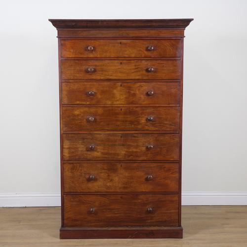 A MAHOGANY TALL CHEST