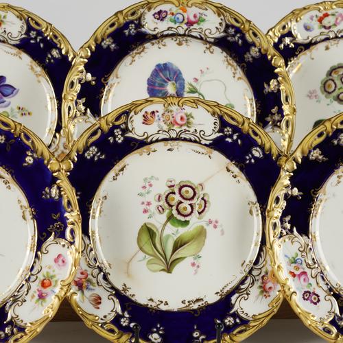 SIX COALPORT BOTANICAL DESSERT PLATES (6)