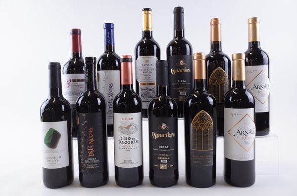 TWELVE BOTTLES SPANISH RED WINE