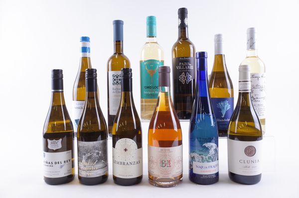 TWELVE BOTTLES SPANISH WHITE WINE