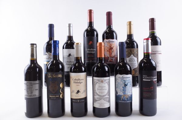 TWELVE BOTTLES SPANISH RED WINE