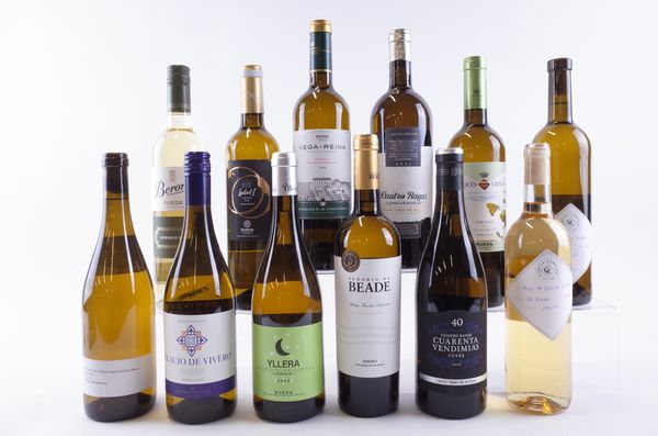 TWELVE BOTTLES SPANISH WHITE WINE