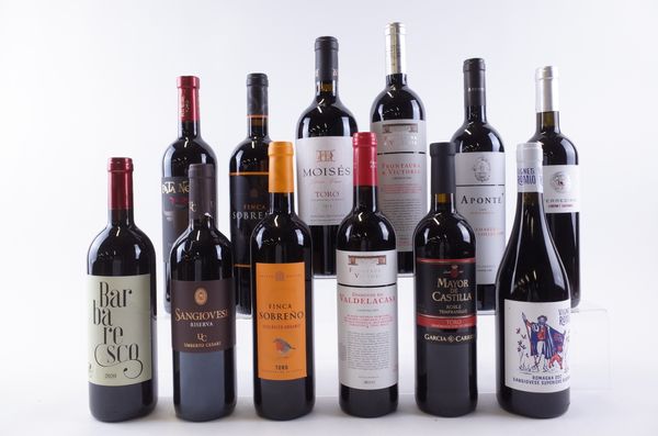 TWELVE BOTTLES ITALIAN AND SPANISH RED WINE