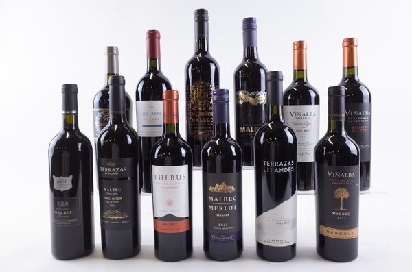 TWELVE BOTTLES ARGENTINIAN MALBEC