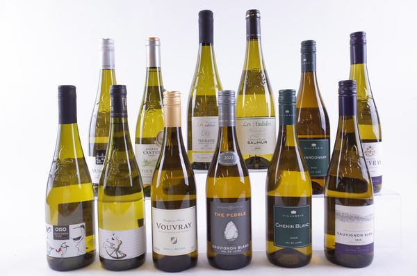 ELEVEN BOTTLES LOIRE VALLEY WHITE AND ONE MUSCADET WINE