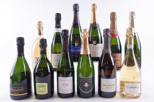 TWELVE BOTTLES CHAMPAGNE