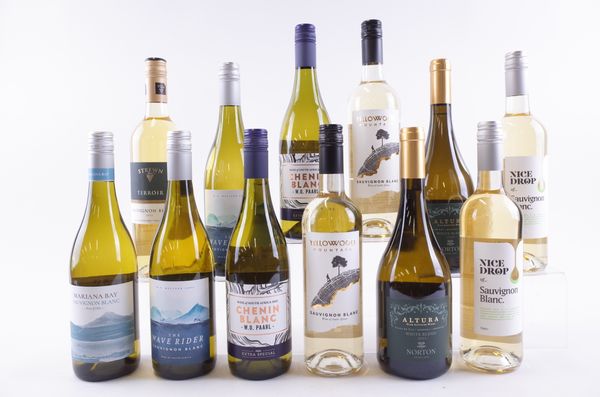 TWELVE BOTTLES ARGENTINIAN, CHILEAN AND SOUTH AFRICAN WHITE WINE