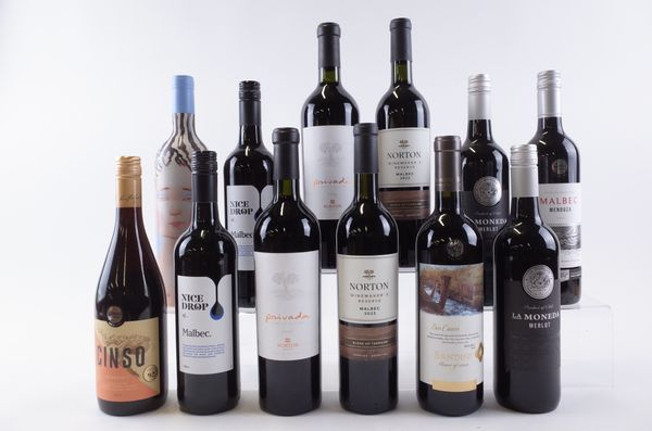 TWELVE BOTTLES CHILEAN AND ARGENTINIAN RED WINE