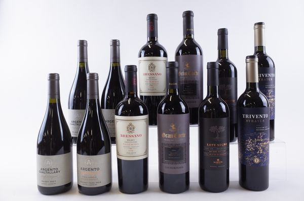 TWELVE BOTTLES ARGENTINIAN RED WINE