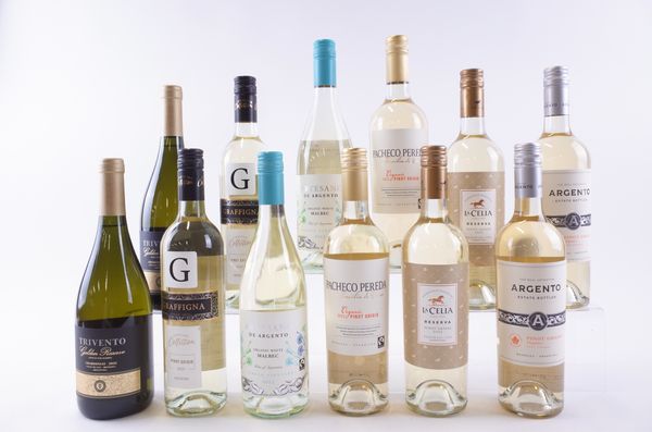 TWELVE BOTTLES ARGENTINIAN WHITE WINE