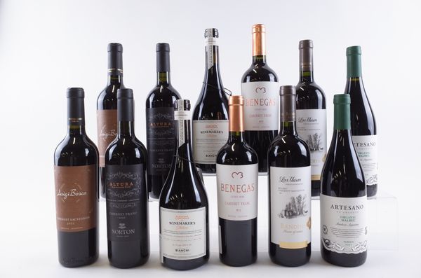 TWELVE BOTTLES ARGENTINIAN RED WINE