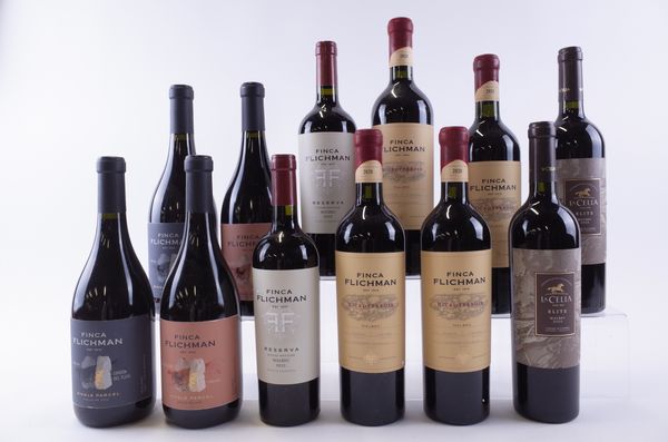 TWELVE BOTTLES ARGENTINIAN MALBEC