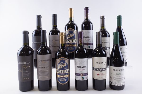 TWELVE BOTTLES ARGENTINIAN RED WINE