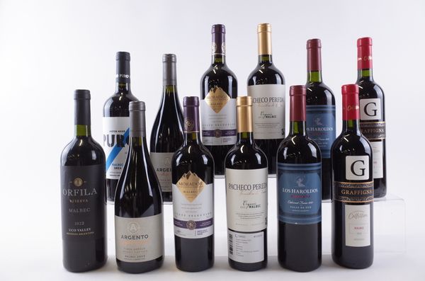 TWELVE BOTTLES ARGENTINIAN RED WINE