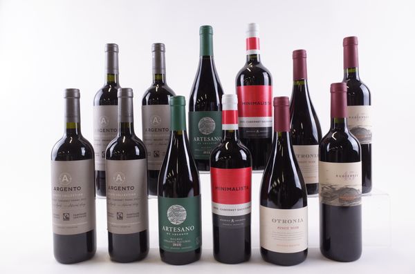 TWELVE BOTTLES ARGENTINIAN RED WINE