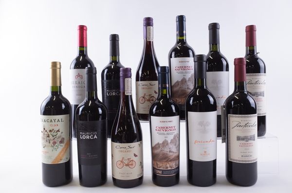 TWELVE BOTTLES ARGENTINIAN AND CHILEAN RED WINE