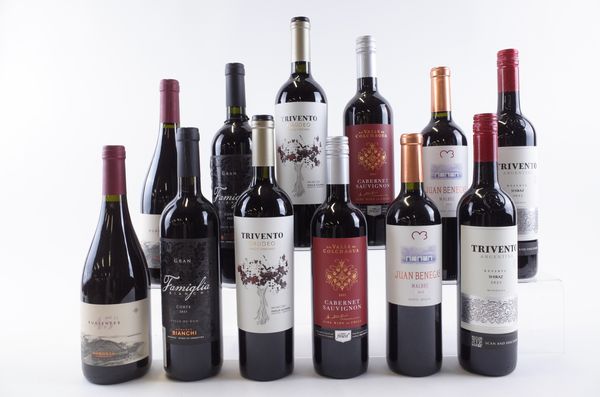 TWELVE BOTTLES ARGENTINIAN RED WINE