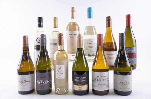 TWELVE BOTTLES ARGENTINIAN WHITE WINE