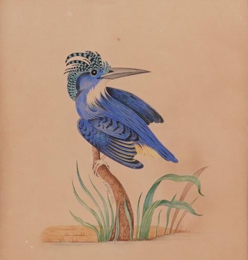 E*** A*** ROPER (19TH CENTURY) (4)