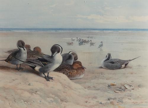 ***COMBINED WITH LINE 22*** ARCHIBALD THORBURN (BRITISH, 1860-1935) (2)