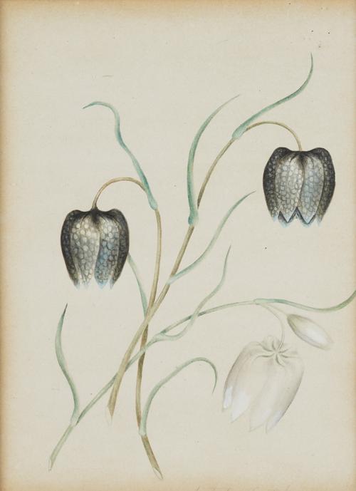 FRENCH SCHOOL, 19TH CENTURY