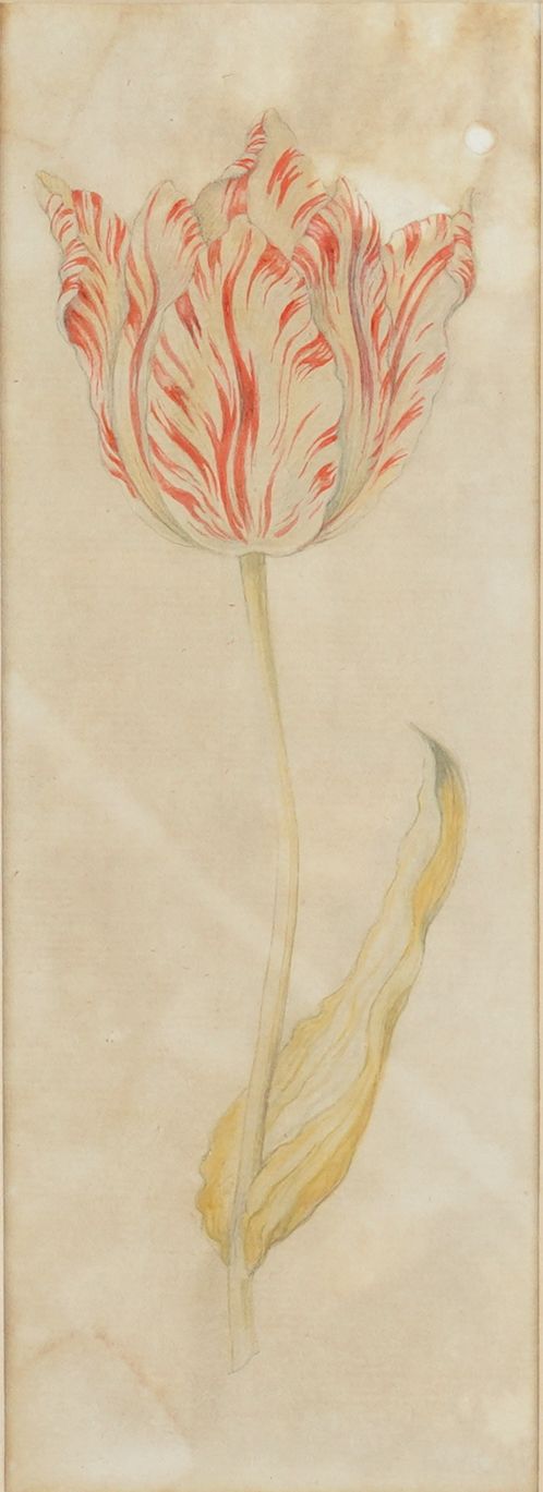 DUTCH SCHOOL, 18TH CENTURY (3)