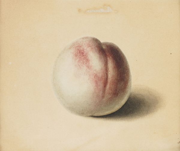 JOHN BROMPTON CUMING (BRITISH, FL. 1793-1812) (2)