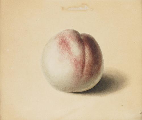 JOHN BROMPTON CUMING (BRITISH, FL. 1793-1812) (2)