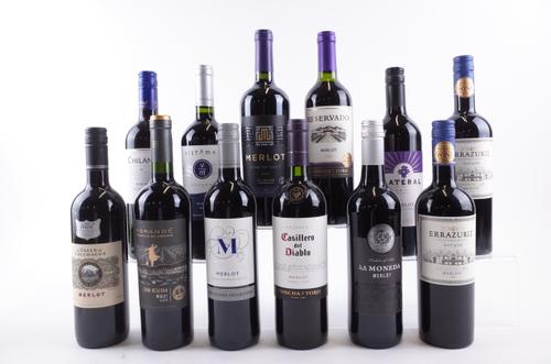 12 BOTTLES CHILEAN MERLOT