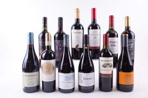 12 BOTTLES CHILEAN AND ARGENTINIAN RED WINE