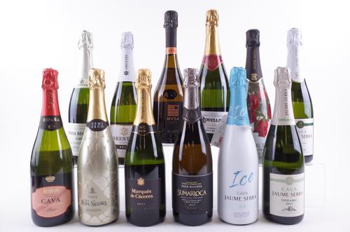 12 BOTTLES CAVA