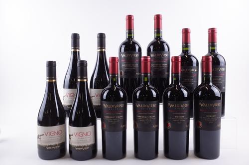 12 BOTTLES CHILEAN RED WINE