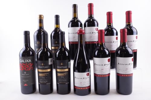 12 BOTTLES MEXICAN RED WINE