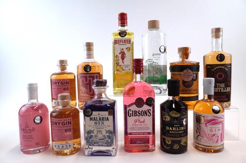 11 BOTTLES FLAVOURED GIN AND 1 VODKA
