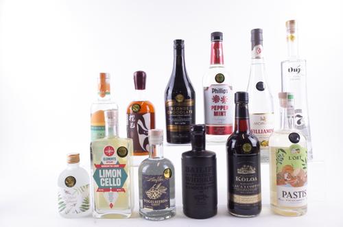 12 BOTTLES VARIOUS SPIRITS