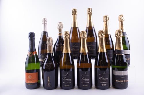 10 BOTTLES CHAMPAGNE AND 2 ITALIAN SPARKLING WINE
