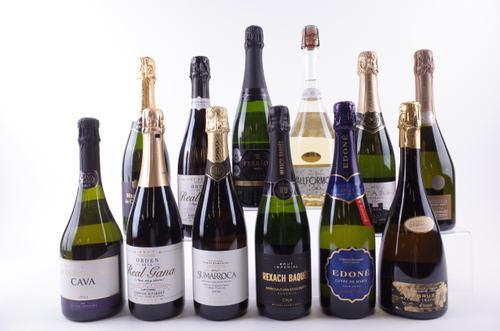 12 BOTTLES SPANISH SPARKLING WINE