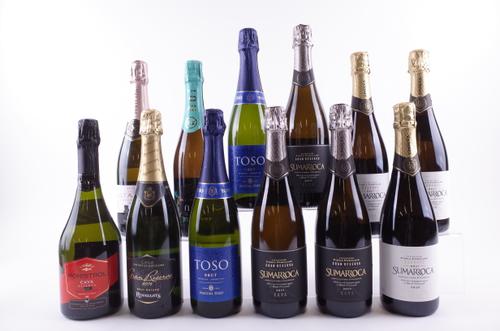 12 BOTTLES CAVA