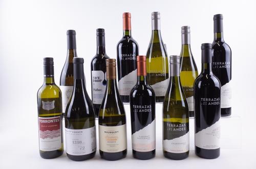 7 BOTTLES ARGENTINIAN WHITE AND 5 RED WINE