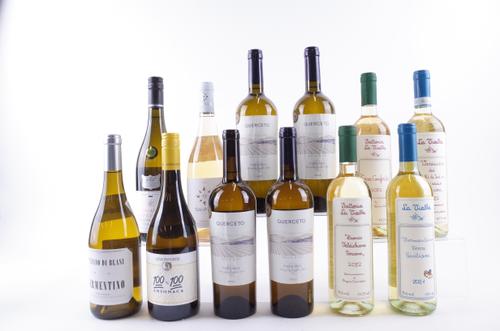 12 BOTTLES ITALIAN WHITE WINE