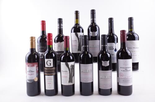 12 BOTTLES ARGENTINIAN AND CHILEAN MALBEC