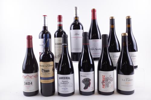 12 BOTTLES SPANISH AND PORTUGUESE RED WINE