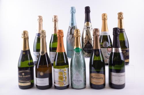 12 BOTTLES CAVA