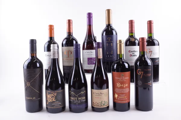 12 BOTTLES CHILEAN RED WINE