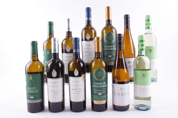 12 BOTTLES PORTUGUESE WHITE WINE