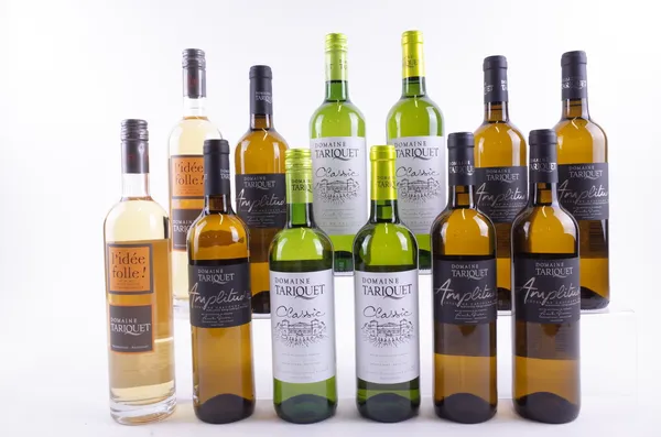 12 BOTTLES FRENCH WHITE WINE