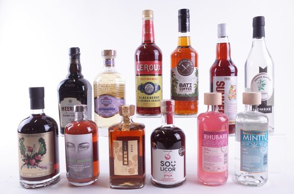TWELVE BOTTLES VARIOUS SPIRITS AND LIQUEURS