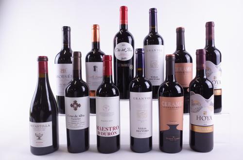 TWELVE BOTTLES SPANISH RED WINE